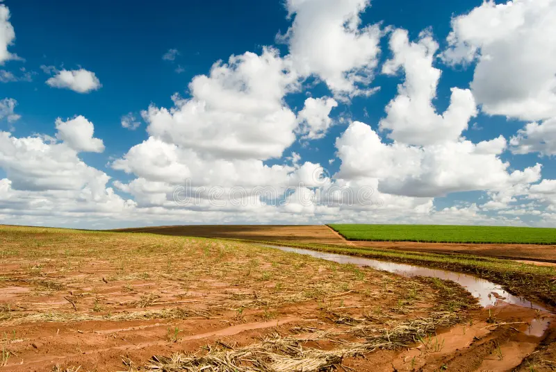 BARE LAND FOR SALE IN GALAGEDARA