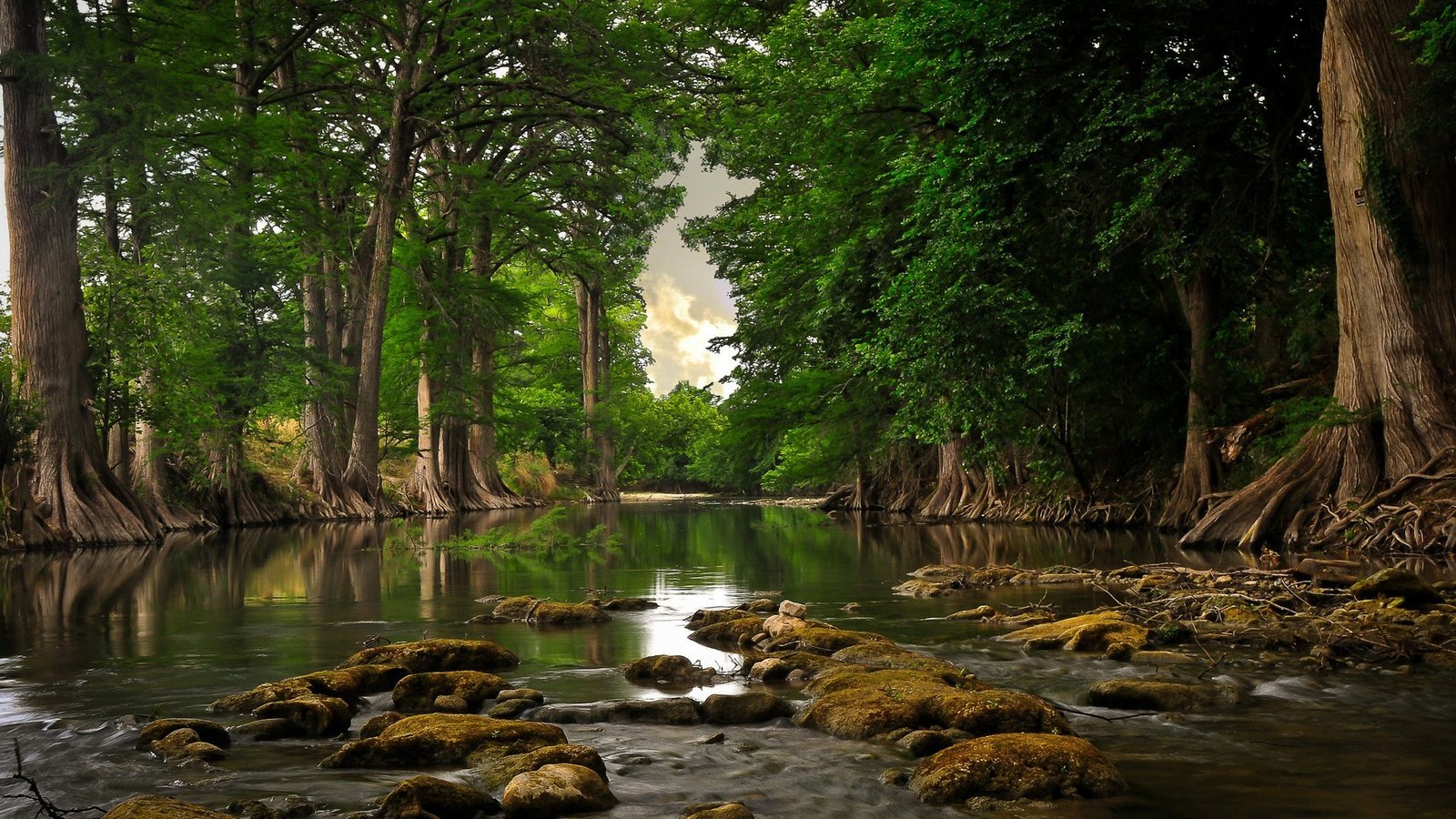 The Nature