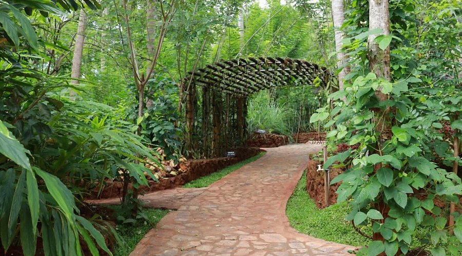 🌿 Spice Garden for Sale in a Fertile Tropical Location