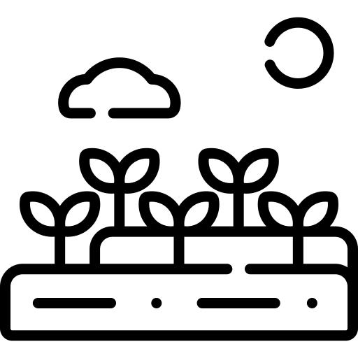 Tea Estate